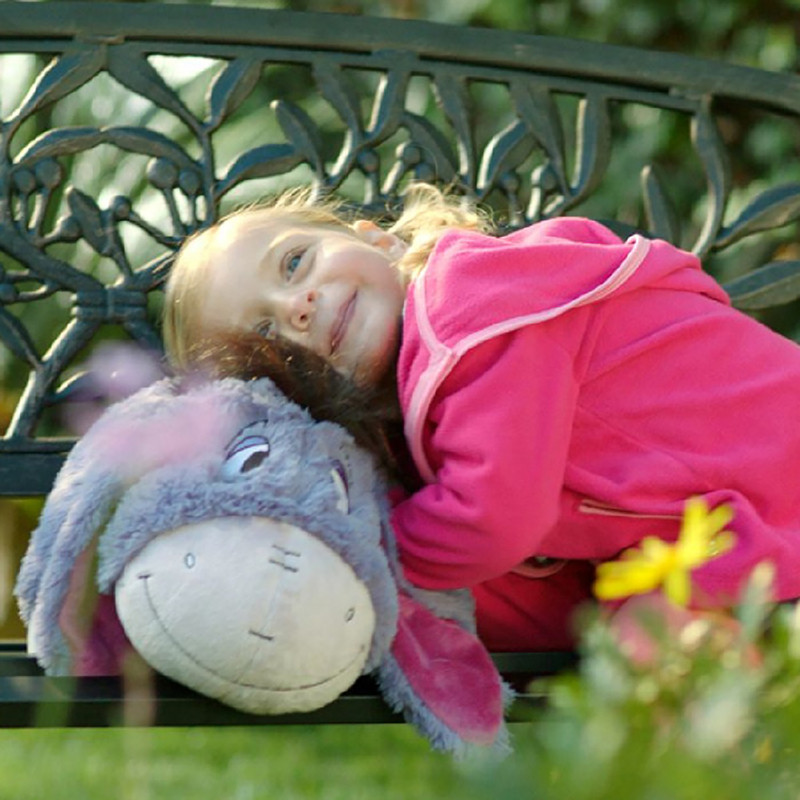 Disney Eeyore Pillow Pet - Image 5